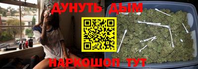 стафф Дубна