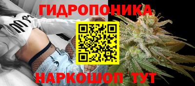 стафф Дубна