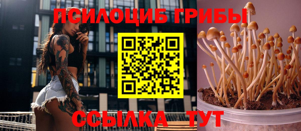 Муравленко  Метамфетамин  Мефедрон кристаллы  Марихуана  Экстази  Меф  Кодеин  Вход с VPN  Гашиш  Кокаин 