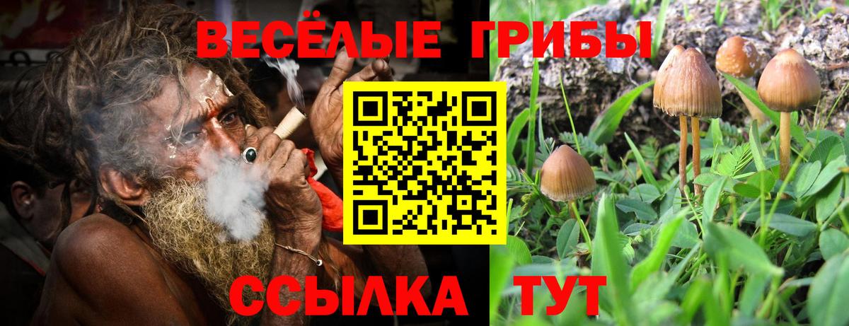 Псилоцибиновые грибы MAGIC MUSHROOMS  Вход с VPN  Муравленко 