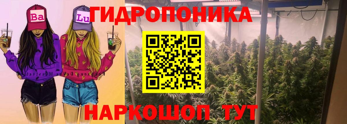 Канабис MAZAR  Марихуана планчик  Вход с VPN  Муравленко  Канабис VHQ 